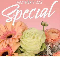 Mother's Day Special