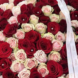 100 pink red white