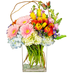 Colorful bouquet with gerbera daisies, tulips, hydrangeas, and a butterfly pick in a glass vase