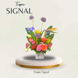 Colorful tropical bouquet in a white square vase