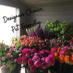 Buckets of colorful cut flowers arranged in a shop display