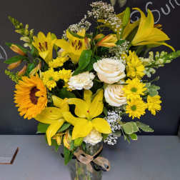 CU Boulder *Graduation Special* - Vased
