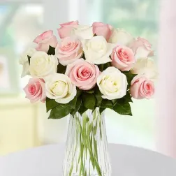 Lovely Mom Roses