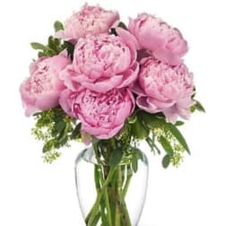 Pink peonies arranged in a clear glass vase