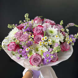 Lavender Blush Harmony