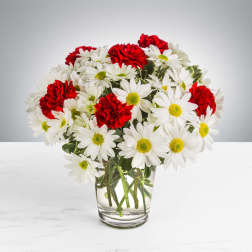 Red carnations and white daisies arranged in a clear glass vase