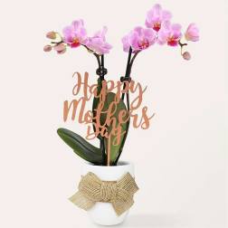 Love You Mom Pink Orchid
