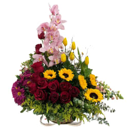 Diseño Orquídea.