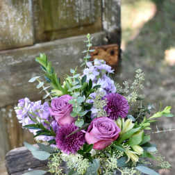 Lavender Surprise