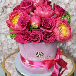 Peony Bloom for Mom