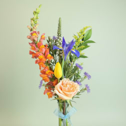 Bud Vase Designers Choice