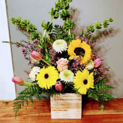 Happiness