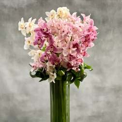 Tall cylinder vase of pink and white orchids with looped green foliage and stones at the base
