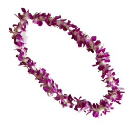 Purple and white orchid lei on a black background