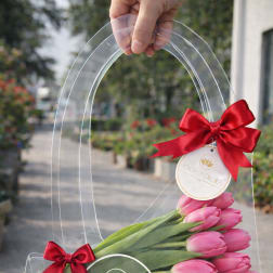 Pink tulips in a clear gift bag with red bows