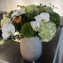 White orchids and pale green hydrangeas in a silver vase