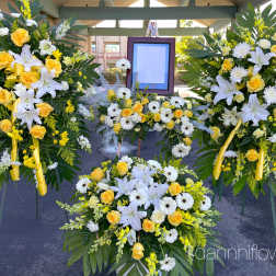 Sympathy package 01