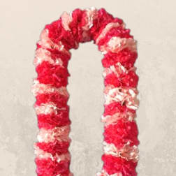 Double Carnation Lei