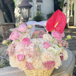 Sweet blooms