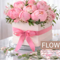 Blossom Symphony Peonies BOX