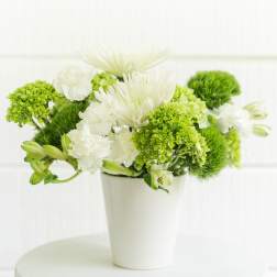 green and white creation