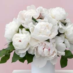 Perfect Peonies