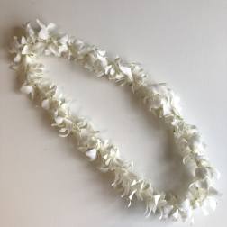White flower lei on a plain light background