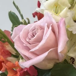Corsage and Boutonniere High School Dances