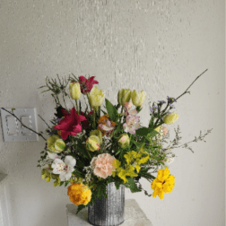 Serene Beauty
