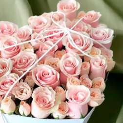 Bouquet of pale pink roses tied with white ribbon