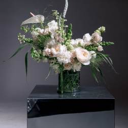 White & Creams - Cream Design