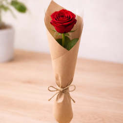 The Surprise Rose