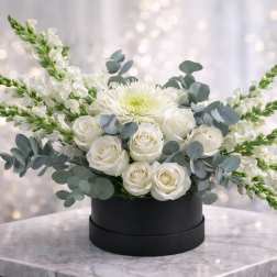 Ivory Grace