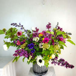 Colorful Wildflower (Growers Choice)