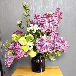 Lilac Love