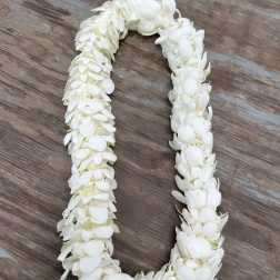 Graduation White Double Lei.