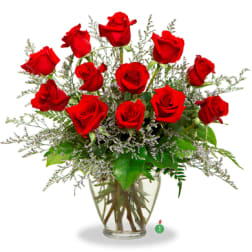Loving Red Roses