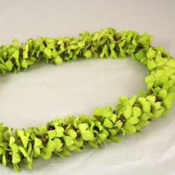 Lime-green floral lei made of clustered blossoms on a light background