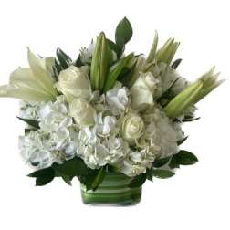 Isle of White Flowers