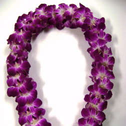 Purple orchid lei on a white background
