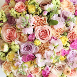 Pastel Designer's Choice (image for color reference only Actual flowers chosen by designer)