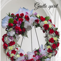 Gentle Spirit