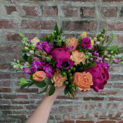 Fuchsia Fun