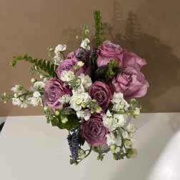 Pink Blooms