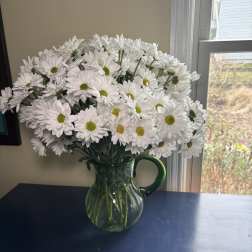 Blooming Pitcher