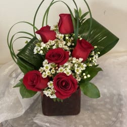 Red roses with white filler flowers in a dark vase