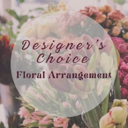 Designer's Choice