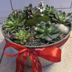 Succulent arrangement in a round tin box with a red ribbon