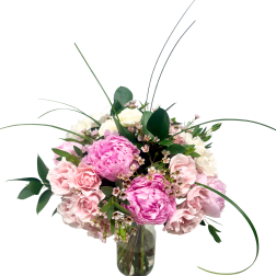 The Peony Premiere