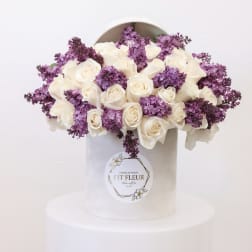 IU Lilac